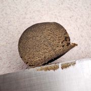 THC Bubble Hash