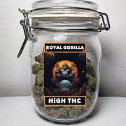 High THC Royal Gorilla