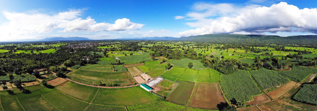 CBweedy Farm ในหมู่บ้านกุดชุมแสง