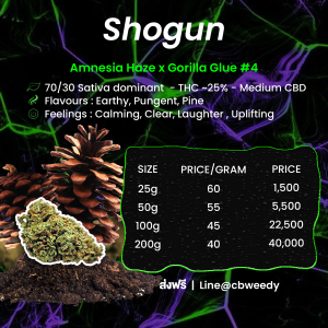 Shogun