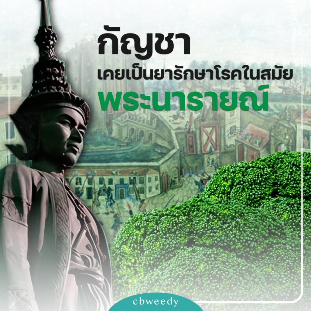 หลักฐานทางปะวัติศาสตร์ไทยใช้กัญชามาแต่ยุคอดีต